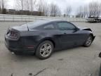 2013 Ford Mustang