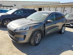 Salvage cars for sale at Louisville, KY auction: 2021 Ford Escape SE