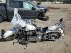 2004 Harley-Davidson Flstci