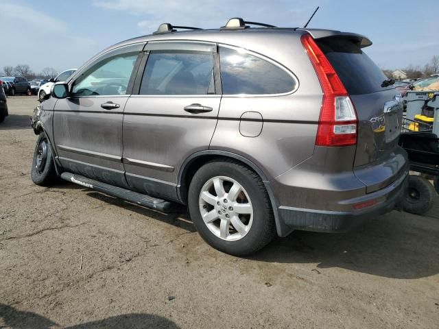 2010 Honda CR-V EXL