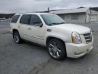 2008 Cadillac Escalade Luxury