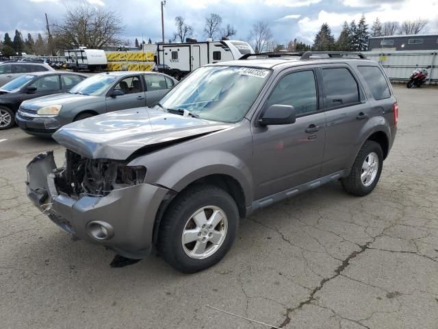 2011 Ford Escape XLT