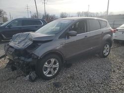 Salvage SUVs for sale at auction: 2014 Ford Escape SE