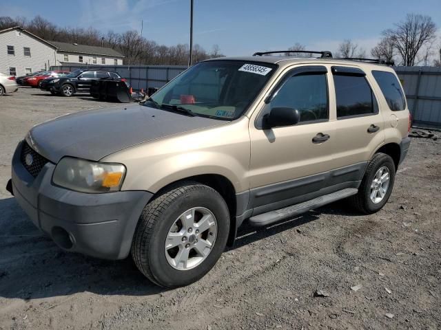 2007 Ford Escape XLT