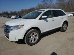 Salvage cars for sale at Ellwood City, PA auction: 2014 Ford Edge SEL