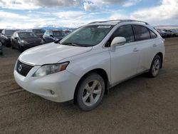 Salvage cars for sale at Helena, MT auction: 2011 Lexus RX 350