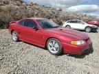 1998 Ford Mustang Cobra