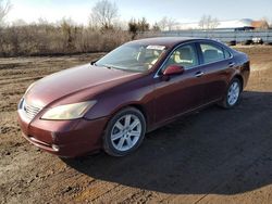 Salvage cars for sale at Columbia Station, OH auction: 2008 Lexus ES 350