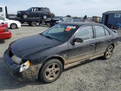 1999 Nissan Sentra SE en venta en Antelope, CA