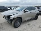 2023 Lexus NX 350