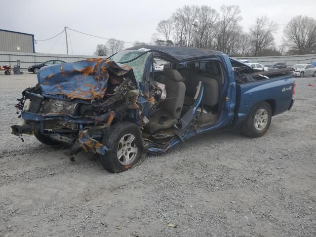 2006 Dodge Dakota Quattro