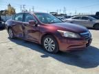 2012 Honda Accord EXL