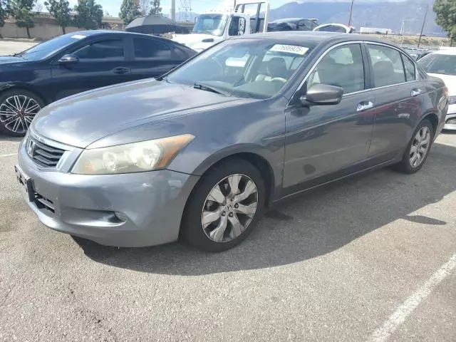 2008 Honda Accord EXL