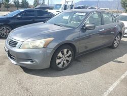 Salvage cars for sale at Rancho Cucamonga, CA auction: 2008 Honda Accord EXL