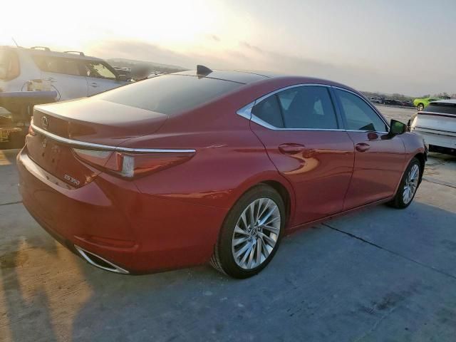 2019 Lexus ES 350