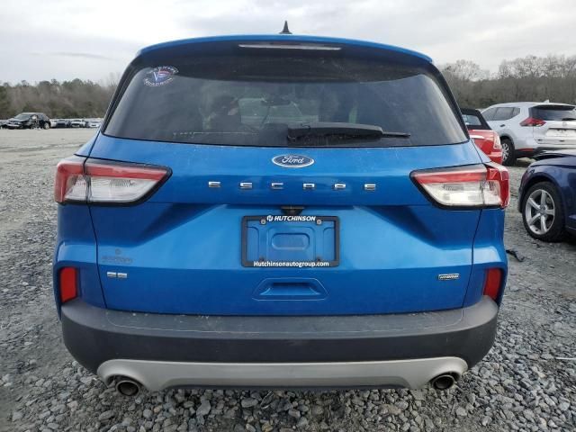 2020 Ford Escape SE Sport