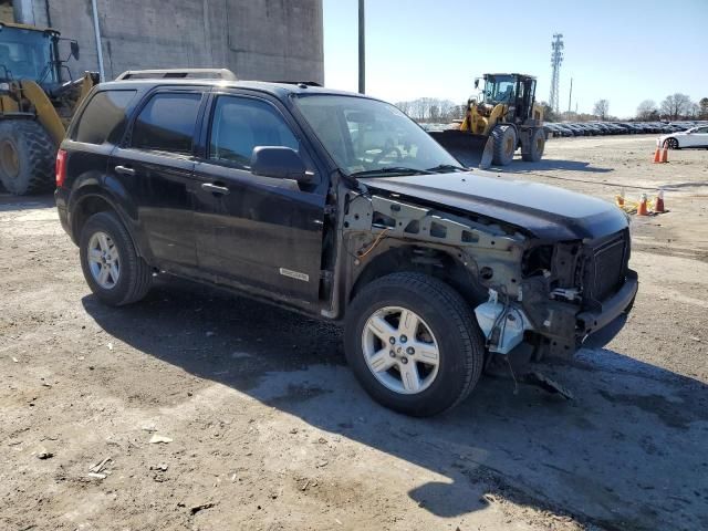 2008 Ford Escape HEV