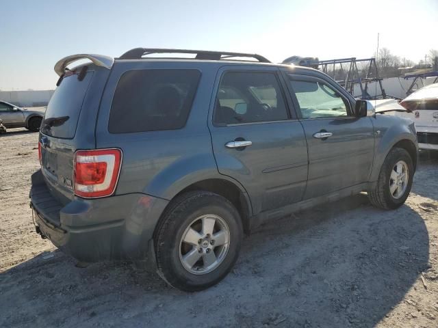 2011 Ford Escape XLT