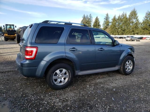 2011 Ford Escape Limited