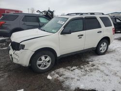 Salvage cars for sale at Central Square, NY auction: 2012 Ford Escape XLT