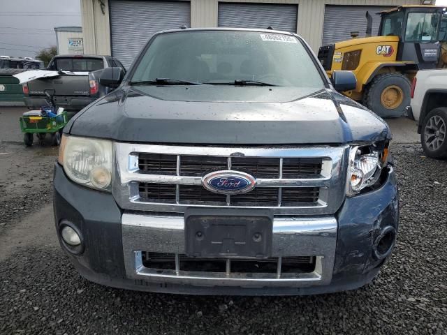 2008 Ford Escape Limited