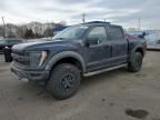 2023 Ford F150 Raptor