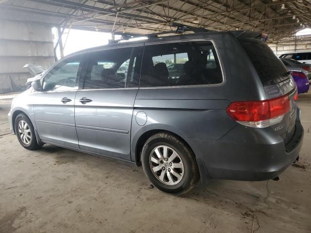 2010 Honda Odyssey EXL