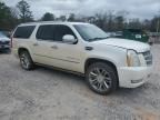 2010 Cadillac Escalade ESV Platinum