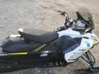 2017 Skidoo 2017 Skidoo MXZ TNT