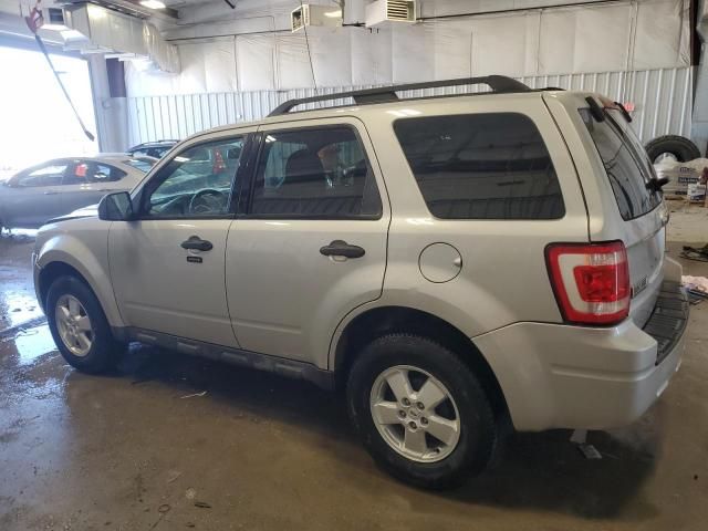 2009 Ford Escape XLT