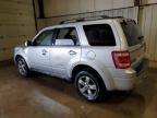 2010 Ford Escape Limited