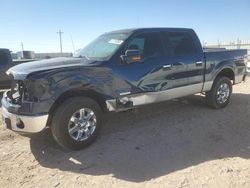 Salvage cars for sale at Andrews, TX auction: 2013 Ford F150 Supercrew