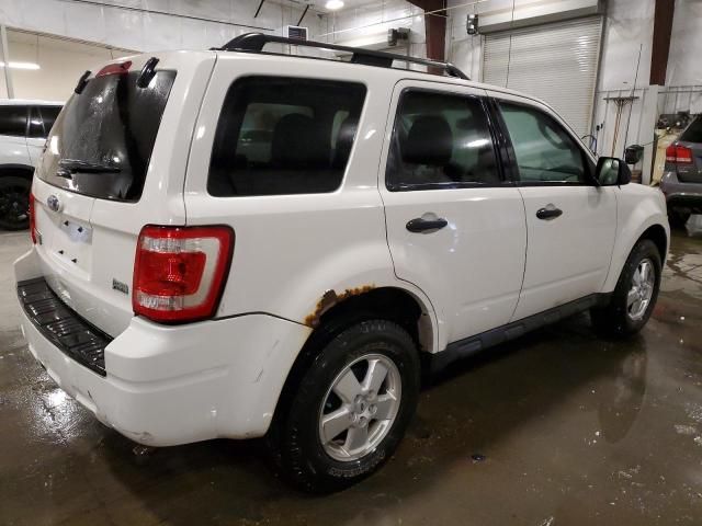 2011 Ford Escape XLT