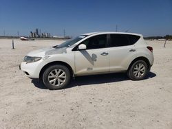 Salvage cars for sale at New Braunfels, TX auction: 2014 Nissan Murano S