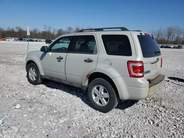 2009 Ford Escape XLT