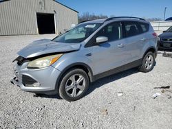 Salvage cars for sale at Lawrenceburg, KY auction: 2016 Ford Escape SE