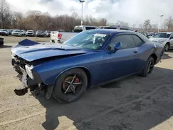 Dodge Vehiculos salvage en venta: 2010 Dodge Challenger SE