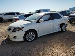 Salvage cars for sale at Phoenix, AZ auction: 2010 Toyota Corolla Base