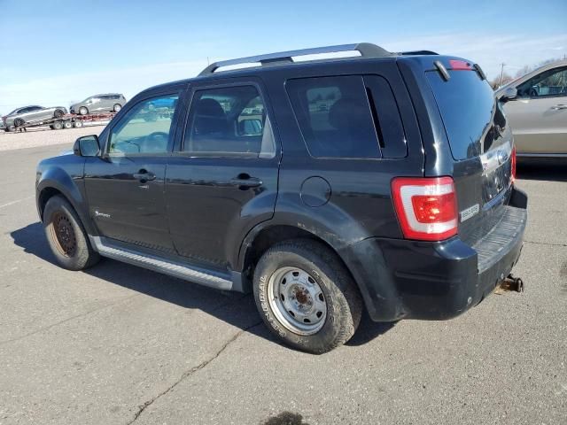 2009 Ford Escape Hybrid