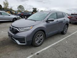 Salvage cars for sale at Van Nuys, CA auction: 2021 Honda CR-V EXL