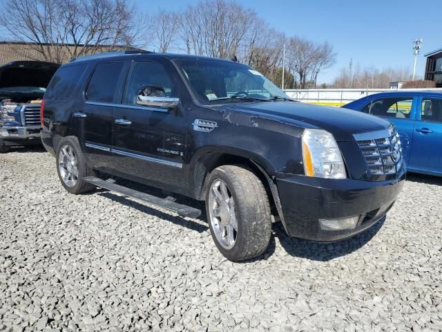 2008 Cadillac Escalade Luxury