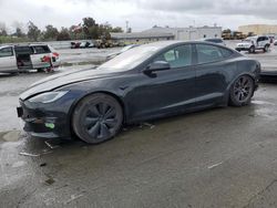 Salvage cars for sale at Martinez, CA auction: 2023 Tesla Model S