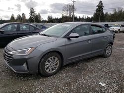 Salvage cars for sale at Graham, WA auction: 2019 Hyundai Elantra SE