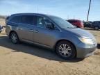 2011 Honda Odyssey EXL