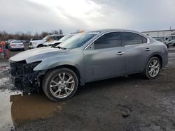 Nissan salvage cars for sale: 2014 Nissan Maxima S