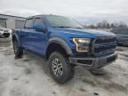 2017 Ford F150 Raptor