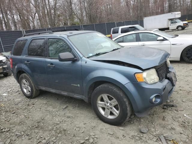 2011 Ford Escape Hybrid