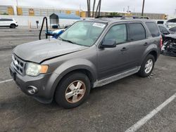 Salvage cars for sale at Van Nuys, CA auction: 2010 Ford Escape XLT