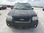 2007 Ford Escape HEV