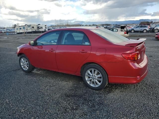 2010 Toyota Corolla Base